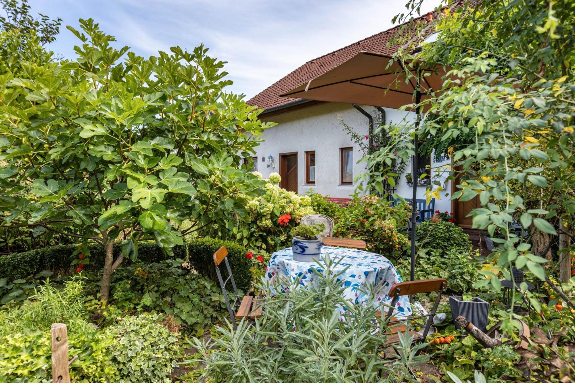 Ferienwohnung Alina Singen Exterior photo